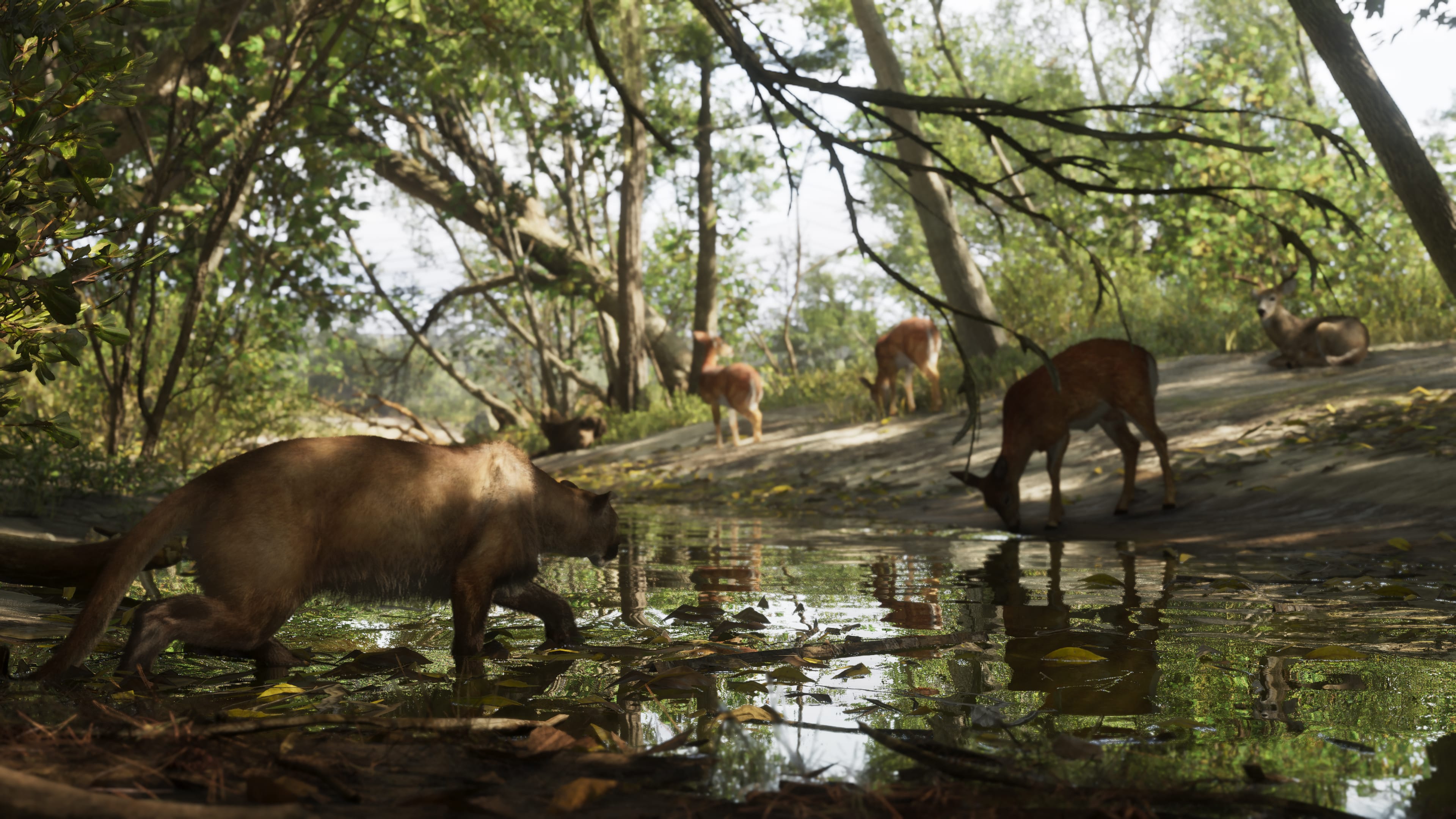 Mount Kalaga — still 5